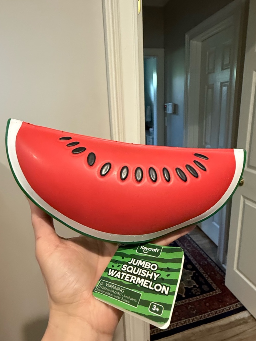 Jumbo Watermelon Squishy Clutch